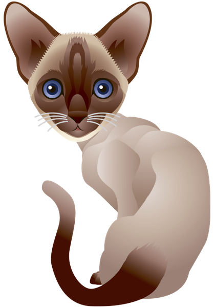 милый котик, животные, кошка, маленький кот, cute cat, animals, cat, little cat, niedliche katze, tier, katze, kleine katze, chat mignon, chat, petit chat, pequeño gato lindo, simpatico gatto, animale, gatto, piccolo gatto, gato bonito, animal, gato, gato pequeno, милий котик, тварини, кішка, маленький кіт