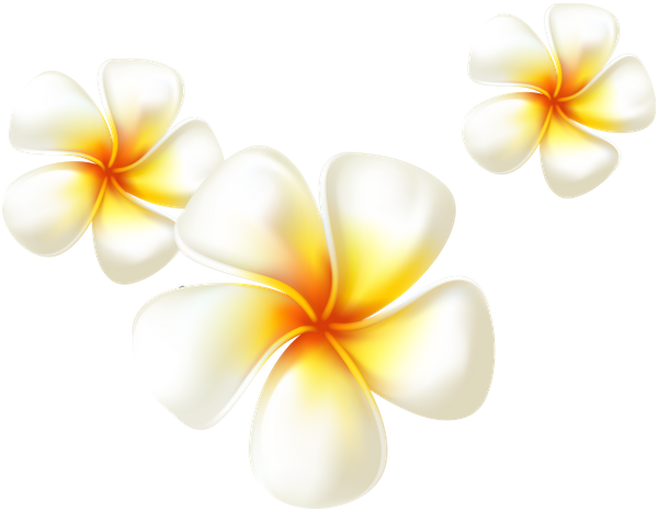 цветы, белый цветок, flowers, white flower, spring, blumen, weiße blumen, frühling, fleurs, fleur blanche, printemps, flor blanca, fiori, fiore bianco, flores, flor branca, primavera, квіти, біла квітка, весна