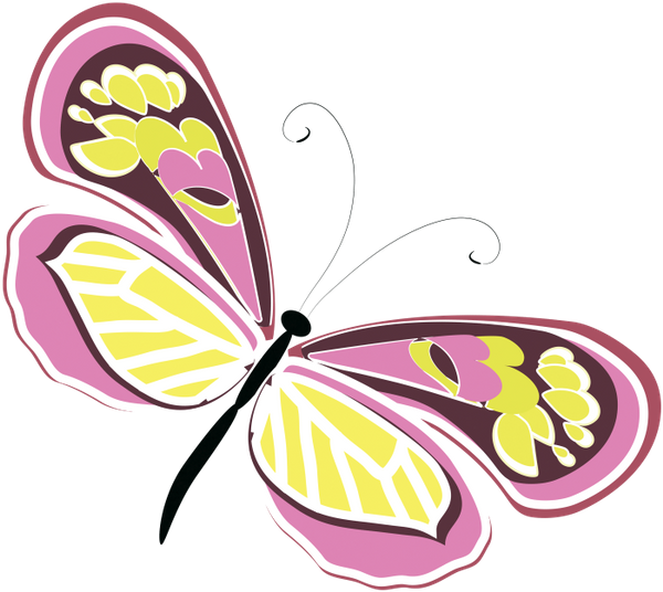 бабочка, насекомое, butterfly, insect, schmetterling, insekt, papillon, insecte, mariposa, insecto, farfalla, insetto, borboleta, inseto, метелик, комаха