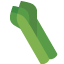 asparagus