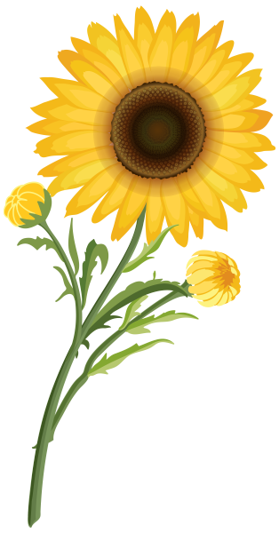 цветы, желтый цветок, flowers, yellow flower, spring, blumen, gelbe blume, frühling, fleurs, fleur jaune, printemps, flor amarilla, fiori, fiore giallo, flores, flor amarela, primavera, квіти, жовта квітка, весна