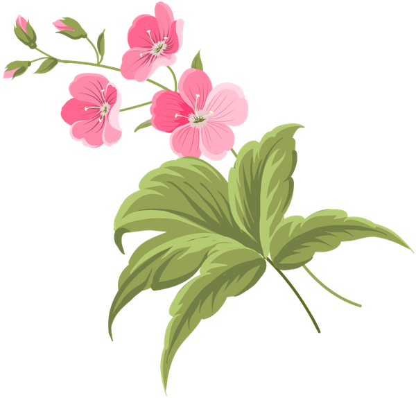 images clipart fleurs printemps