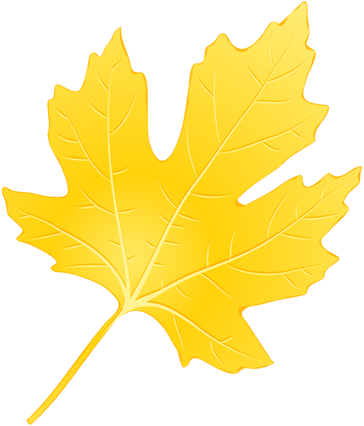 клен, листья клена, желтый лист - download free render Leaves on Artage.io