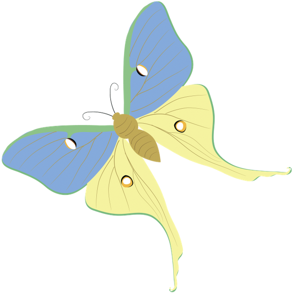 бабочка, насекомое, butterfly, insect, schmetterling, insekt, papillon, insecte, mariposa, insecto, farfalla, insetto, borboleta, inseto, метелик, комаха