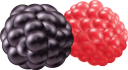 ежевика, малина, еда, ягоды, blackberries, raspberries, food, berries, brombeeren, himbeeren, lebensmittel, beeren, mûres, framboises, nourriture, baies, moras, frambuesas, comida, bayas, more, lamponi, cibo, frutti di bosco, ожина, їжа, ягоди