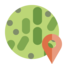 bacteria, location