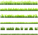 флора, зеленая трава, green grass, grünes gras, flore, herbe verte, la flora, la hierba verde, erba verde, flora, grama verde