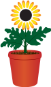 вазон, цветочный горшок, комнатное растение, цветы, флора, flower pot, houseplant, flowers, blumentopf, zimmerpflanze, blumen, pot de fleurs, pot de fleur, plante d'intérieur, fleurs, flore, maceta, planta de interior, vaso di fiori, pianta d'appartamento, fiori, flowerpot, vaso de flores, planta de casa, flores, flora, квітковий горщик, кімнатна рослина, квіти