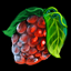 berry, 03