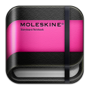 moleskine storyboard