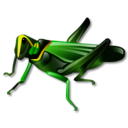 grasshopper, 128