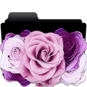 pink and purple roses