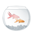 aqua, fish, fishes, pisces, рыба, рыбы, аквариумные рыбки