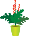 вазон, цветочный горшок, комнатное растение, цветы, флора, flower pot, houseplant, flowers, blumentopf, zimmerpflanze, blumen, pot de fleurs, pot de fleur, plante d'intérieur, fleurs, flore, maceta, planta de interior, vaso di fiori, pianta d'appartamento, fiori, flowerpot, vaso de flores, planta de casa, flores, flora, квітковий горщик, кімнатна рослина, квіти