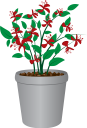 вазон, цветочный горшок, комнатное растение, цветы, флора, flower pot, houseplant, flowers, blumentopf, zimmerpflanze, blumen, pot de fleurs, pot de fleur, plante d'intérieur, fleurs, flore, maceta, planta de interior, vaso di fiori, pianta d'appartamento, fiori, flowerpot, vaso de flores, planta de casa, flores, flora, квітковий горщик, кімнатна рослина, квіти