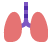 ic, pneumology