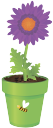 вазон, цветочный горшок, цветок гербера, flower pot, flower gerbera, blumentopf, blume gerbera, vase, pot de fleur, fleur gerbera, florero, maceta, flores de gerbera, vaso di fiori, vaso, vaso de flores, gerbera