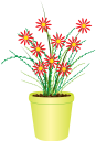 вазон, цветочный горшок, комнатное растение, цветы, флора, flower pot, houseplant, flowers, blumentopf, zimmerpflanze, blumen, pot de fleurs, pot de fleur, plante d'intérieur, fleurs, flore, maceta, planta de interior, vaso di fiori, pianta d'appartamento, fiori, flowerpot, vaso de flores, planta de casa, flores, flora, квітковий горщик, кімнатна рослина, квіти