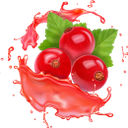 красная смородина, сок смородины, брызги сока, напитки, red currant, currant juice, splashing juice, drinks, rote johannisbeere, johannisbeersaft, spritzender saft, getränke, groseilles, jus de groseilles, éclaboussures de jus, boissons, grosella roja, jugo de grosella, salpicaduras de jugo, ribes rosso, succo di ribes, succo di frutta, bevande, groselha, suco de groselha, suco de salpicos, bebidas, червона смородина, сік смородини, бризки соку, напої