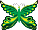 бабочка, насекомое, butterfly, insect, schmetterling, insekt, papillon, insecte, mariposa, insecto, farfalla, insetto, borboleta, inseto, метелик, комаха