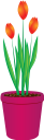 вазон, цветочный горшок, комнатное растение, цветы, флора, flower pot, houseplant, flowers, blumentopf, zimmerpflanze, blumen, pot de fleurs, pot de fleur, plante d'intérieur, fleurs, flore, maceta, planta de interior, vaso di fiori, pianta d'appartamento, fiori, flowerpot, vaso de flores, planta de casa, flores, flora, квітковий горщик, кімнатна рослина, квіти