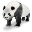 panda