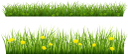 флора, зеленая трава, green grass, grünes gras, flore, herbe verte, la flora, la hierba verde, erba verde, flora, grama verde
