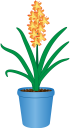 вазон, цветочный горшок, комнатное растение, цветы, флора, flower pot, houseplant, flowers, blumentopf, zimmerpflanze, blumen, pot de fleurs, pot de fleur, plante d'intérieur, fleurs, flore, maceta, planta de interior, vaso di fiori, pianta d'appartamento, fiori, flowerpot, vaso de flores, planta de casa, flores, flora, квітковий горщик, кімнатна рослина, квіти