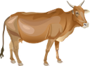 парнокопытные, животные фермы, животноводство, cow, animal farms, animal husbandry, kuh, artiodactyls, tierfarmen, tierhaltung, vache, artiodactyles, élevages, élevage, vaca, artiodáctilos, granjas de animales, ganadería, mucca, artiodattili, allevamenti di animali, allevamento, корова, парнокопитні, тварини ферми, тваринництво