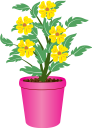вазон, цветочный горшок, комнатное растение, цветы, флора, flower pot, houseplant, flowers, blumentopf, zimmerpflanze, blumen, pot de fleurs, pot de fleur, plante d'intérieur, fleurs, flore, maceta, planta de interior, vaso di fiori, pianta d'appartamento, fiori, flowerpot, vaso de flores, planta de casa, flores, flora, квітковий горщик, кімнатна рослина, квіти