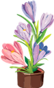 цветы, вазон, цветочный горшок, зеленое растение, флора, flowerpot, flower pot, green plant, flowers, blumentopf, grüne pflanze, blumen, pot de fleurs, pot de fleur, plante verte, fleurs, flore, maceta, vaso di fiori, pianta verde, fiori, vaso de flores, planta verde, flores, flora, квітковий горщик, зелена рослина, квіти