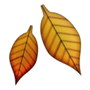 emoji natur-73
