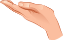 рука, кисть руки, рука человека, жесты, части тела, human hand, gestures, body parts, hand, menschliche hand, gesten, körperteile, main, main humaine, gestes, parties du corps, mano humana, partes del cuerpo, mano, mano umana, gesti, parti del corpo, mão, mão humana, gestos, partes do corpo, рука людини, жести, частини тіла