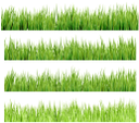 флора, зеленая трава, green grass, grünes gras, flore, herbe verte, la flora, la hierba verde, erba verde, flora, grama verde