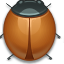 bug, жук, жучок, насекомое, баг, insect