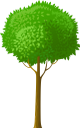 дерево, лиственное дерево, зеленое растение, tree, deciduous tree, green plant, baum, laubbaum, grüne pflanze, arbre, arbre à feuilles caduques, plante verte, árbol, árbol de hoja caduca, albero, latifoglia, pianta verde, árvore, árvore de folha caduca, planta verde, листяне дерево, зелена рослина