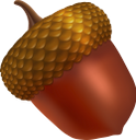 жёлудь, жёлудь дуба, плод дуба, семена растений, природа, acorn, oak acorn, oak fruit, plant seeds, eichel, eiche eichel, eiche obst, pflanzensamen, natur, gland, gland de chêne, fruit de chêne, graines de plantes, nature, bellota, bellota de roble, fruto de roble, semillas de plantas, naturaleza, ghianda, ghianda di quercia, frutta di quercia, semi di piante, natura, bolota, bolota de carvalho, fruta de carvalho, sementes de plantas, natureza, жолудь, жолудь дуба, плід дуба, насіння рослин