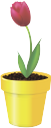 вазон, цветочный горшок, цветок тюльпан, flower pot, flower tulip, blumentopf, blume tulpe, vase, pot de fleur, fleur de tulipe, florero, maceta, flor del tulipán, vaso di fiori, tulipano, vaso, vaso de flores, tulipa flor