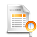 summary zoom