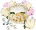 свадебное кольцо, золотое кольцо, обручальное кольцо, ювелирное изделие, свадьба, ювелирное украшение, свадебные кольца, кольцо жениха, кольцо невесты, ракушка, бутон розы, цветы, жемчуг, wedding ring, gold ring, engagement ring, wedding, jewelry, wedding rings, groom's ring, bride's ring, shell, rose bud, flowers, pearls, ehering, goldring, verlobungsring, hochzeit, schmuck, eheringe, bräutigamring, brautring, gold, muschel, rosenknospe, blumen, perlen, bague de mariage, bague en or, bague de fiançailles, mariage, bijoux, bagues de mariage, bague de marié, bague de mariée, or, coquille, bouton de rose, fleurs, perles, anillo de bodas, anillo de oro, anillo de compromiso, boda, joyería, anillos de boda, anillo de novios, anillo de novia, capullo de rosa, perlas, anello nuziale, anello d'oro, anello di fidanzamento, matrimonio, gioielli, fedi nuziali, anello dello sposo, anello della sposa, oro, conchiglia, bocciolo di rosa, fiori, perle, aliança, anel de ouro, anel de noivado, casamento, jóias, anéis de casamento, anel do noivo, anel da noiva, ouro, concha, botão de rosa, flores, pérolas, весільне кільце, золоте кільце, обручка, ювелірний виріб, весілля, ювелірна прикраса, весільні кільця, кільце нареченого, кільце нареченої, золото, черепашка, бутон троянди, квіти, перли