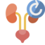 urology, refresh