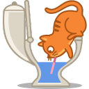 cat, drink