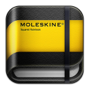 moleskine squared