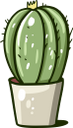 кактус, зеленое растение, колючее растение, колючка кактуса, зеленый, green plant, prickly plant, cactus thorn, green, kaktus, grüne pflanze, stachelige pflanze, kaktusdorn, grün, plante verte, plante épineuse, épine de cactus, vert, planta espinosa, cactus espina, cactus, pianta verde, pianta spinosa, spina di cactus, cacto, planta verde, planta espinhosa, espinho cacto, verde, зелена рослина, колюча рослина, голка кактуса, зелений