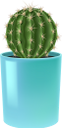 кактус, комнатное растение, зеленое растение, флора, houseplant, flowerpot, green plant, kaktus, zimmerpflanze, blumentopf, grünpflanze, plante d'intérieur, pot de fleur, plante verte, flore, planta de interior, maceta, cactus, pianta d'appartamento, vaso di fiori, pianta verde, cacto, planta de casa, vaso de plantas, planta verde, flora, кімнатна рослина, вазон, зелена рослина