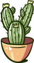 кактус, зеленое растение, колючее растение, колючка кактуса, зеленый, green plant, prickly plant, cactus thorn, green, kaktus, grüne pflanze, stachelige pflanze, kaktusdorn, grün, plante verte, plante épineuse, épine de cactus, vert, planta espinosa, cactus espina, cactus, pianta verde, pianta spinosa, spina di cactus, cacto, planta verde, planta espinhosa, espinho cacto, verde, зелена рослина, колюча рослина, голка кактуса, зелений
