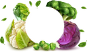 капуста краснокочанная, красная капуста, цветная капуста, пекинская капуста, брокколи, брюсельская капуста, белокачанная капуста, капуста, баннер, овощи, red cabbage, cauliflower, beijing cabbage, brussels sprouts, white cabbage, cabbage, vegetables, rotkohl, blumenkohl, pekinger kohl, brokkoli, rosenkohl, weißkohl, kohl, gemüse, chou rouge, chou-fleur, chou de pékin, brocoli, choux de bruxelles, chou blanc, chou, bannière, légumes, col roja, coliflor, col de beijing, brócoli, coles de bruselas, col blanca, col, pancarta, verduras, cavolo rosso, cavolfiore, cavolo di pechino, broccoli, cavoletti di bruxelles, cavolo bianco, cavolo, bandiera, verdure, repolho roxo, couve-flor, repolho de pequim, brócolis, couve de bruxelas, repolho branco, repolho, banner, legumes, капуста червонокачанна, червона капуста, цвітна капуста, пекінська капуста, брокколі, брюсельська капуста, білокачанна капуста, банер, овочі