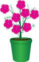 вазон, цветочный горшок, комнатное растение, цветы, флора, flower pot, houseplant, flowers, blumentopf, zimmerpflanze, blumen, pot de fleurs, pot de fleur, plante d'intérieur, fleurs, flore, maceta, planta de interior, vaso di fiori, pianta d'appartamento, fiori, flowerpot, vaso de flores, planta de casa, flores, flora, квітковий горщик, кімнатна рослина, квіти
