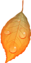 желтый лист, осенние листья, осень, осенний лист, листок дерева, листопад, yellow leaf, autumn, autumn leaves, a leaf of a tree, falling leaves, gelbes blatt, herbst, herbstlaub, ein blatt eines baums, fallende blätter, feuille jaune, automne, feuilles d'automne, une feuille d'un arbre, feuilles qui tombent, hoja amarilla, otoño, hojas de otoño, una hoja de un árbol, hojas caídas, foglia gialla, autunno, foglie di autunno, una foglia di un albero, foglie che cadono, folha amarela, outono, folhas de outono, uma folha de uma árvore, folhas caindo, жовтий лист, осіннє листя, осінь, осінній лист, листя дерева