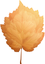 желтый лист, осенние листья, осень, осенний лист, листок дерева, листопад, yellow leaf, autumn, autumn leaves, a leaf of a tree, falling leaves, gelbes blatt, herbst, herbstlaub, ein blatt eines baums, fallende blätter, feuille jaune, automne, feuilles d'automne, une feuille d'un arbre, feuilles qui tombent, hoja amarilla, otoño, hojas de otoño, una hoja de un árbol, hojas caídas, foglia gialla, autunno, foglie di autunno, una foglia di un albero, foglie che cadono, folha amarela, outono, folhas de outono, uma folha de uma árvore, folhas caindo, жовтий лист, осіннє листя, осінь, осінній лист, листя дерева